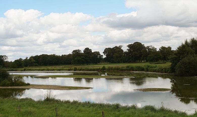 Blick auf Steinhorster Becken