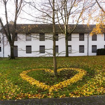 Herz aus Gingko-Laub