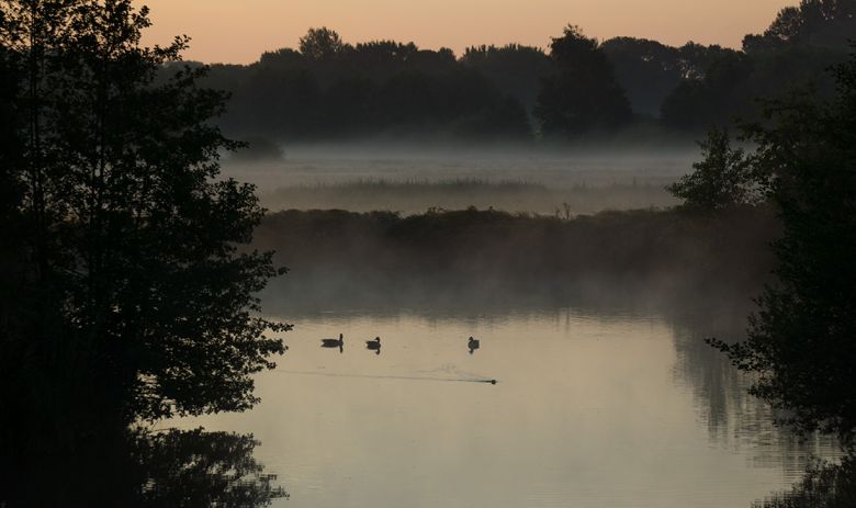 Morgenstimmung am Steinhorster Becken